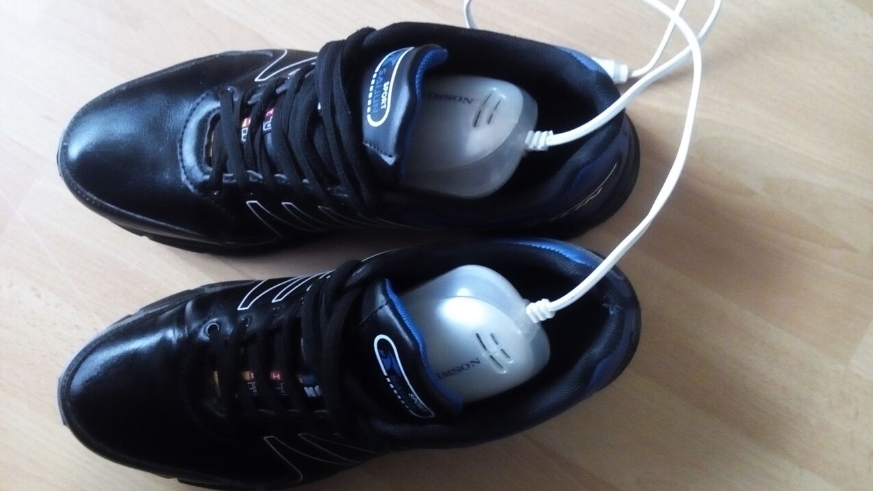 device for disinfecting shoes against fungus